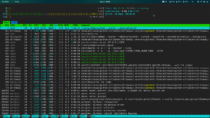 اسکرین شات از مانیتورینگ سرور با دستور htop، نمایش دهنده پردازش های Nginx, PostgreSQL و Redis در پروژه خسرو عظیمی